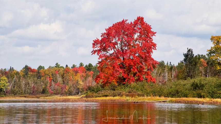 Hudson River Fall Day Trip