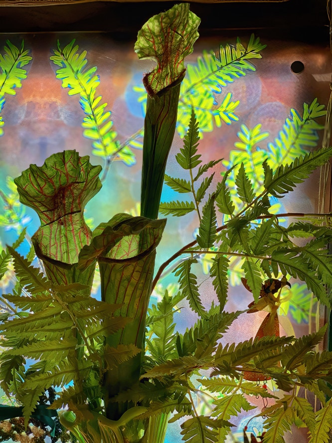 Privacy Window Dressing