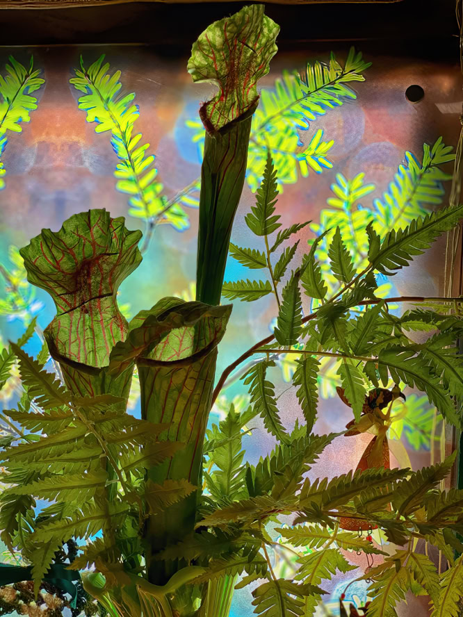 Privacy Window Dressing